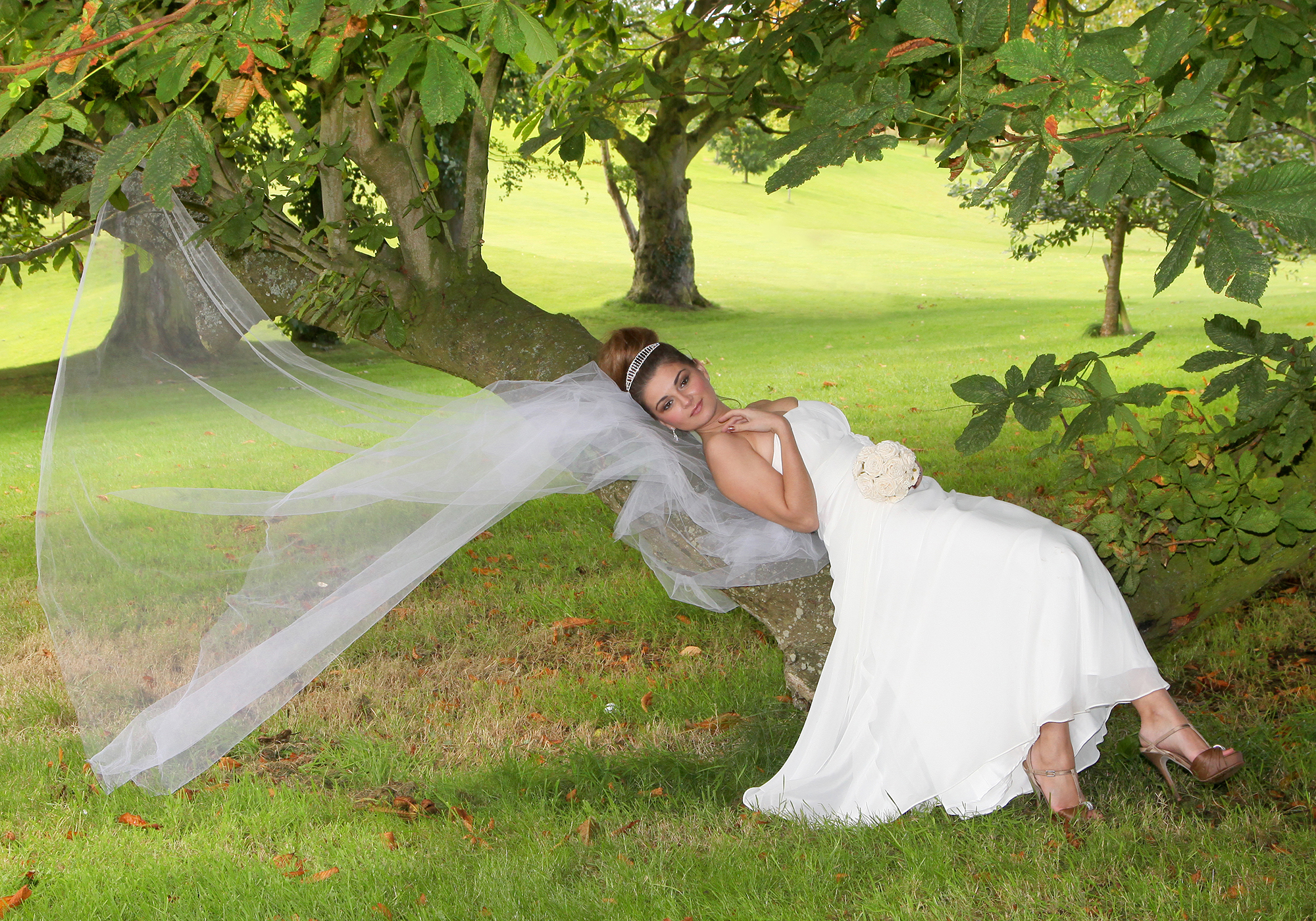 Wedding Photography With AL Photography Ireland & Northern Ireland